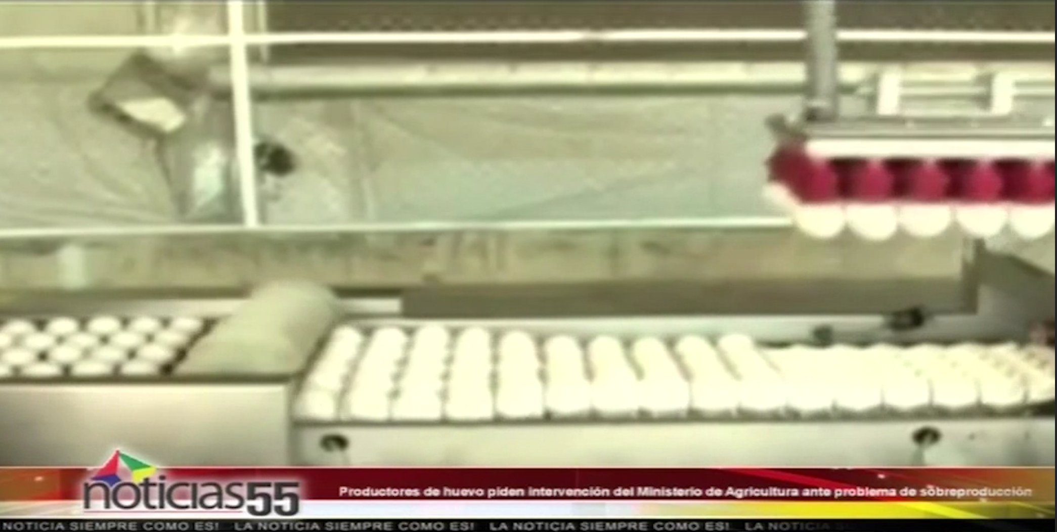 Productores De Huevo Piden Intervención Del Ministro De Agricultura Ante Problema De Sobreproducción