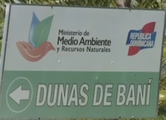 Legisladores Piden Investigación De Tala De Arboles En Las Dunas De Baní