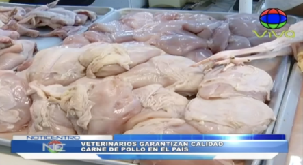 Veterinarios Garantizan Calidad De La Carne De Pollo En El País