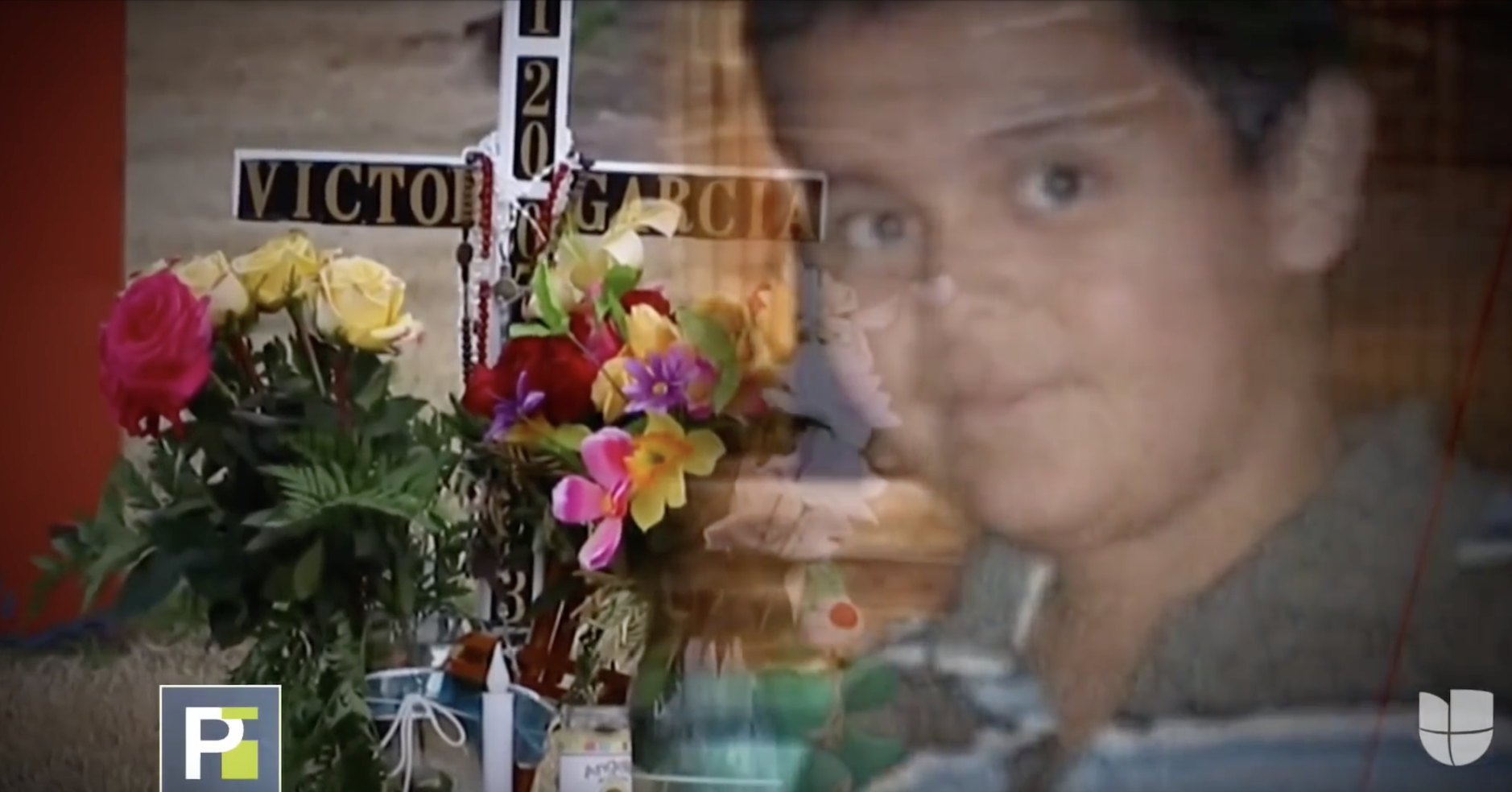 “Esto Es Obra De Dios”: Familia Al Ver Cómo Una Paloma Se Postra Ante El Altar De Un Niño Fallecido