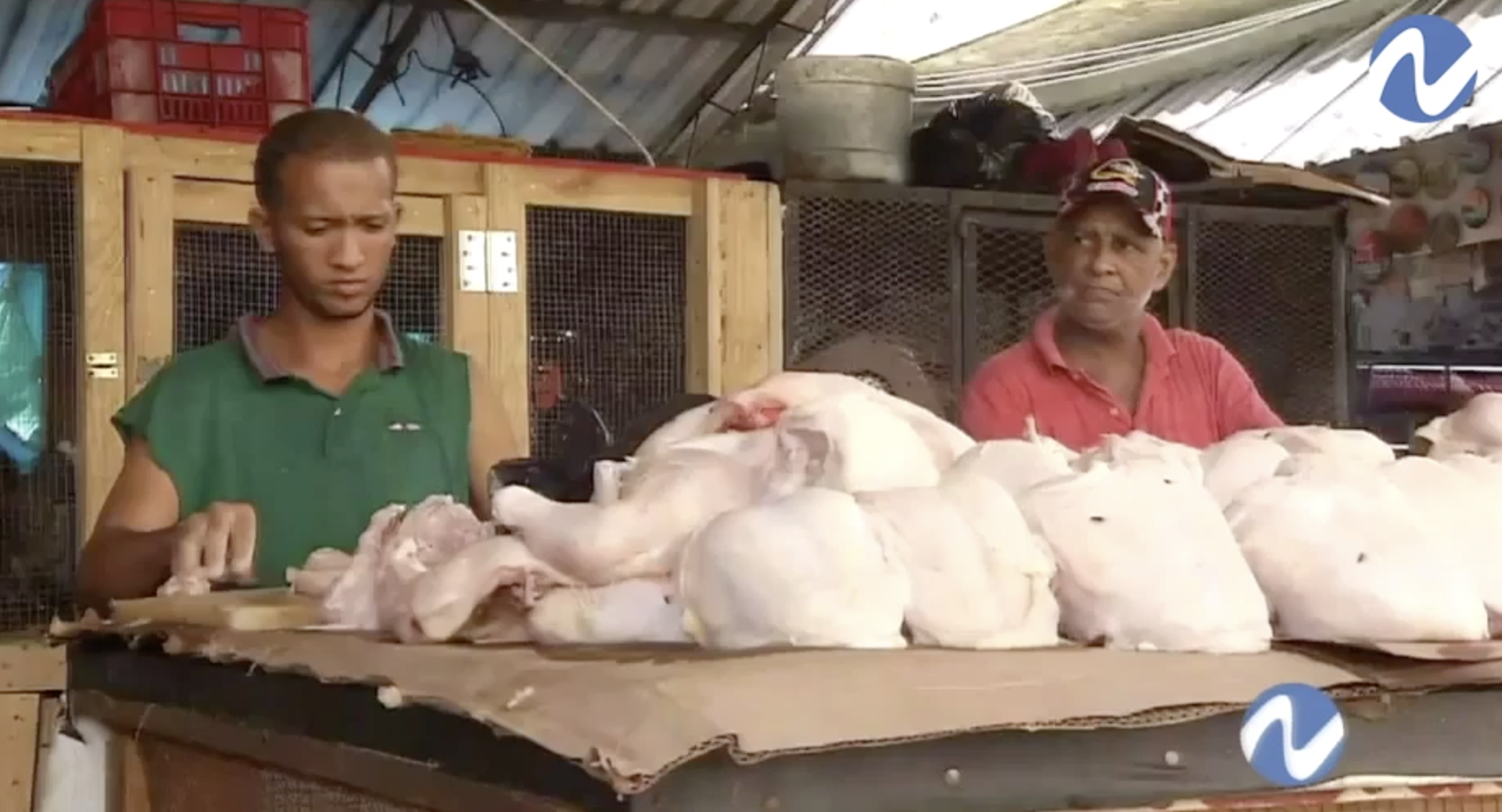 Newcastle, El Virus Ataca A Las Aves, ¿qué Hacen Las Autoridades Dominicanas Para Evitar Propagación?