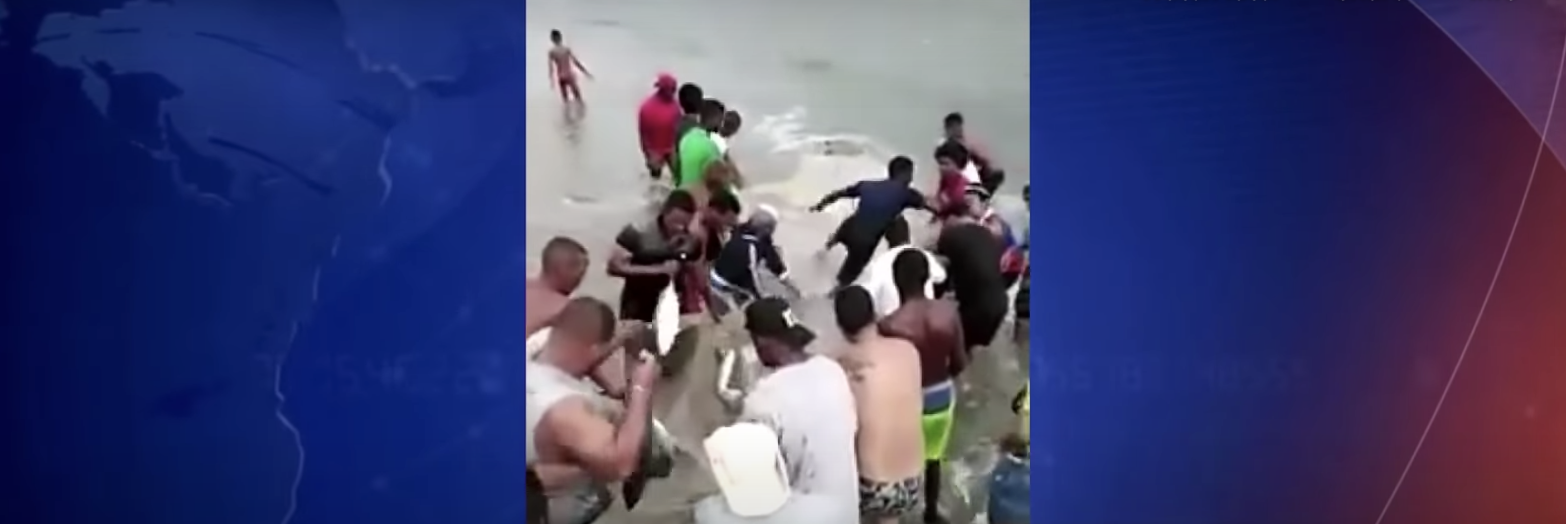 Pescadores Hablan De Pesca Extraordinaria En Costa Del Kilómetro 13 De Carretera Sánchez