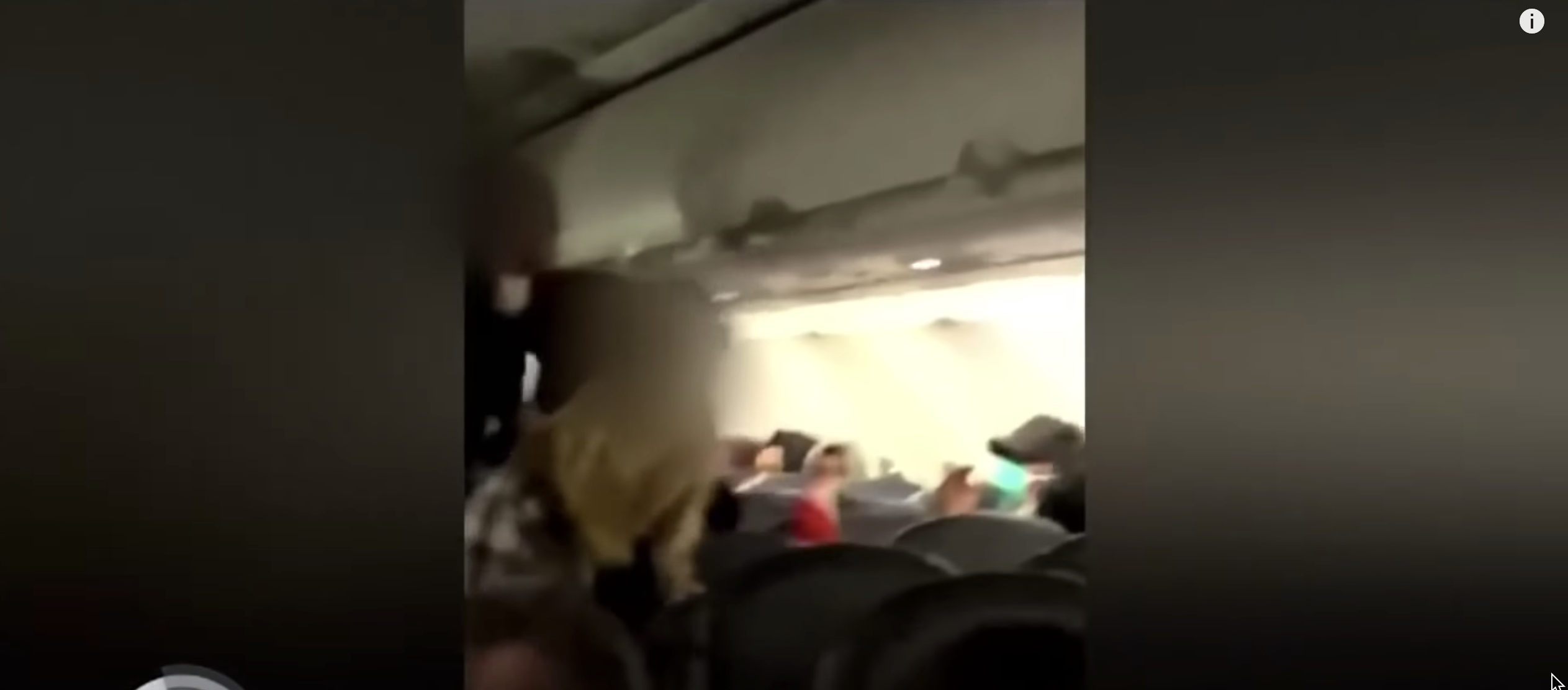 Pasajero Estalla En Furia Y Desata Pelea En Vuelo De Spirit Airlines