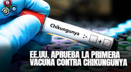 EE.UU. Aprueba La Primera Vacuna Contra El Chikungunya