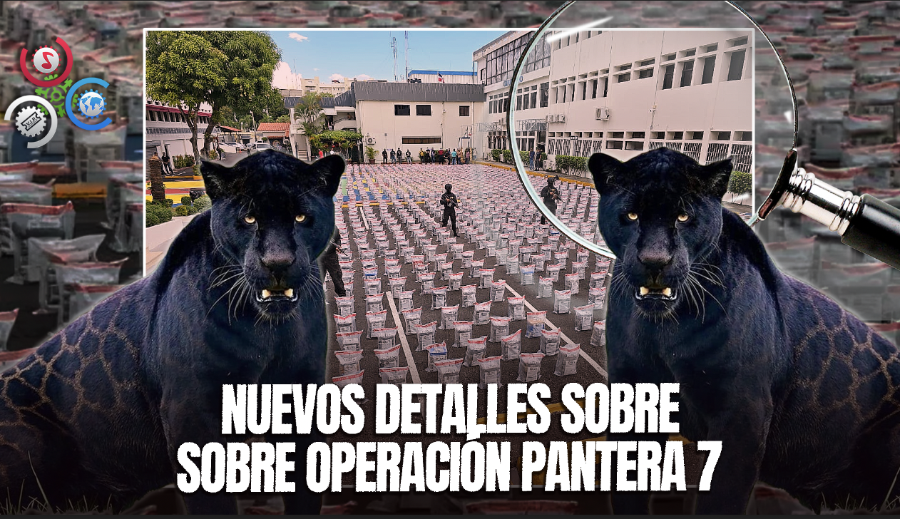 Salen A La Luz Nombres De Ejecutivos De Empresas Supuestamente Vinculadas En Operación Pantera 7