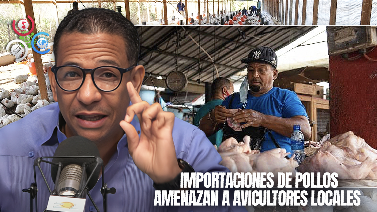 Pedro Jiménez: Importaciones De Pollos, El Camino Hacia La Quiebra De Avicultores Locales
