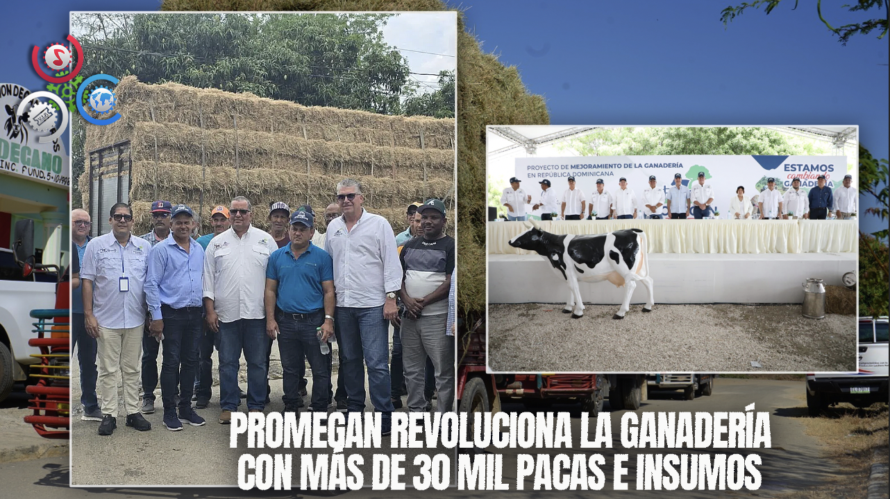 Promegan Impulsa El Sector Ganadero De RD Con La Entrega De Más De 30 Mil Pacas E Insumos