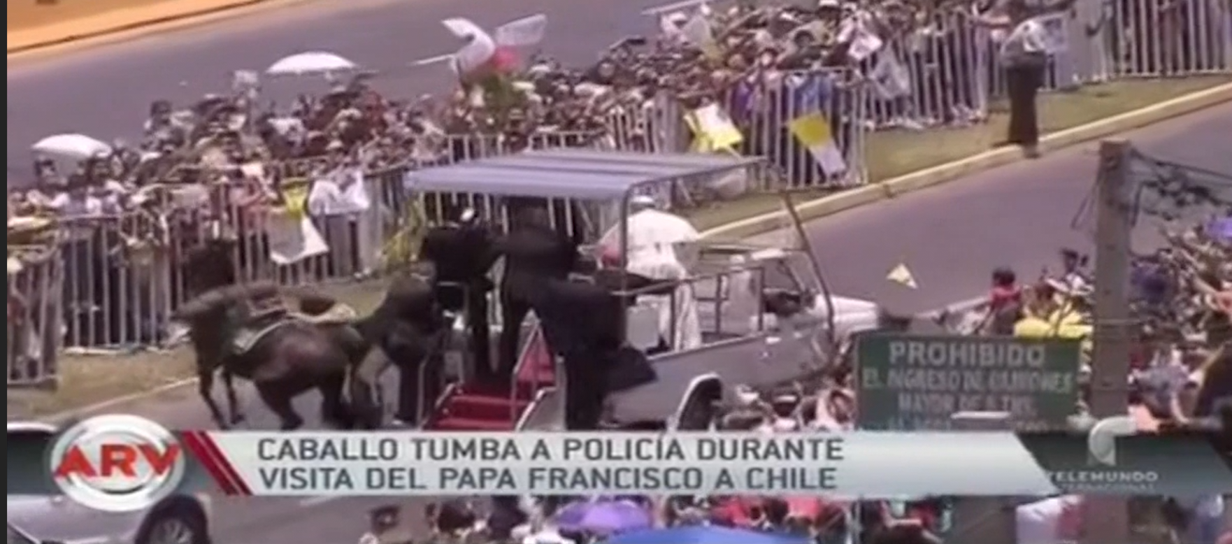 Caballo Tumba A Policía En Frente Del Papa Francisco