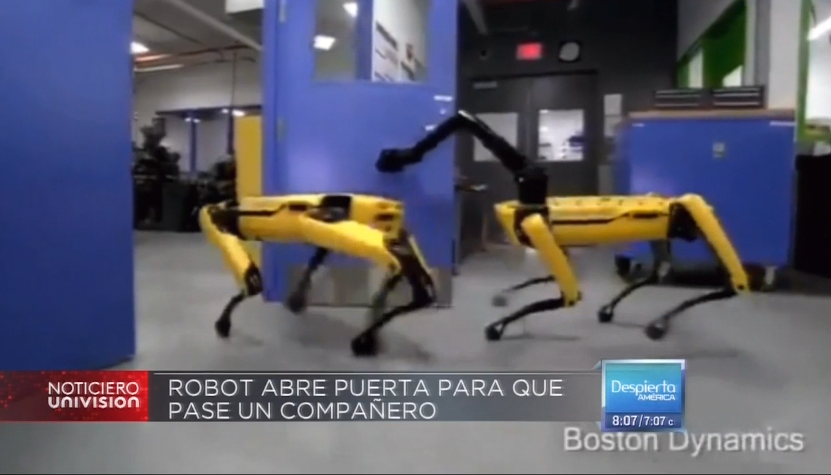 Tecnología: Robot “Caballeroso” Le Abre La Puerta A Su Compañero
