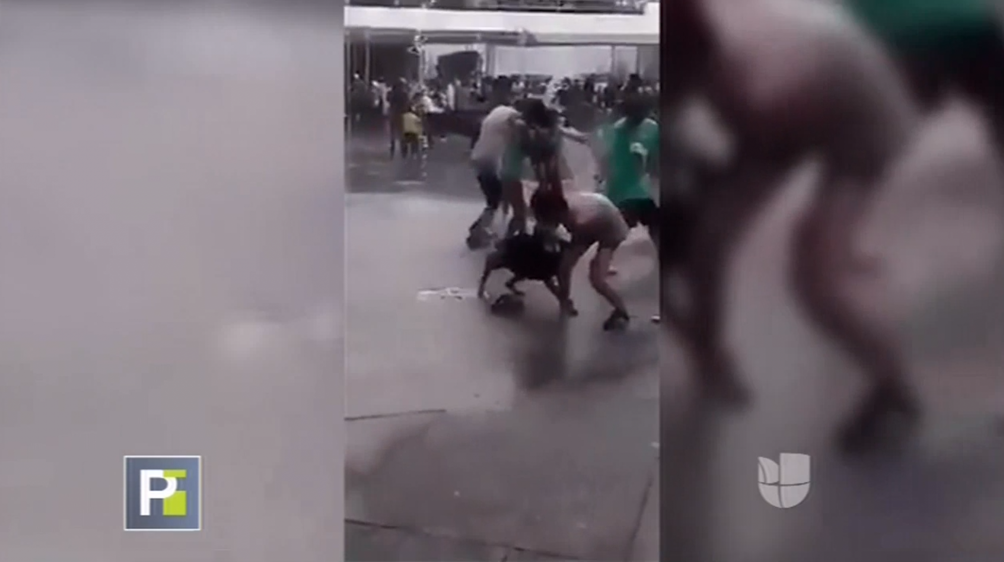 ¡INSÓLITO! Un Perro Pitbull Ataca Con Toda Su Furia A Un Grupo De Niños
