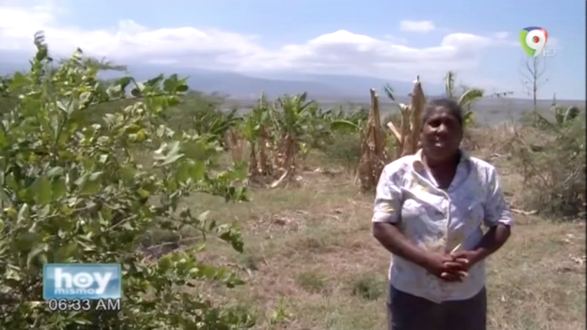 Desempleo Afecta Fuertemente A Residentes De Boca De Cachón – Hoy Mismo