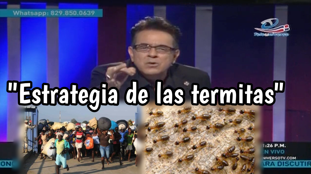 Los Haitianos Usan La Estrategia De Las Termitas Para Invadir El Territorio Dominicano