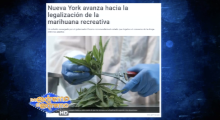 El Departamento De Salud De NY Da Luz Verde Para El Uso Recreativo De La Marihuana