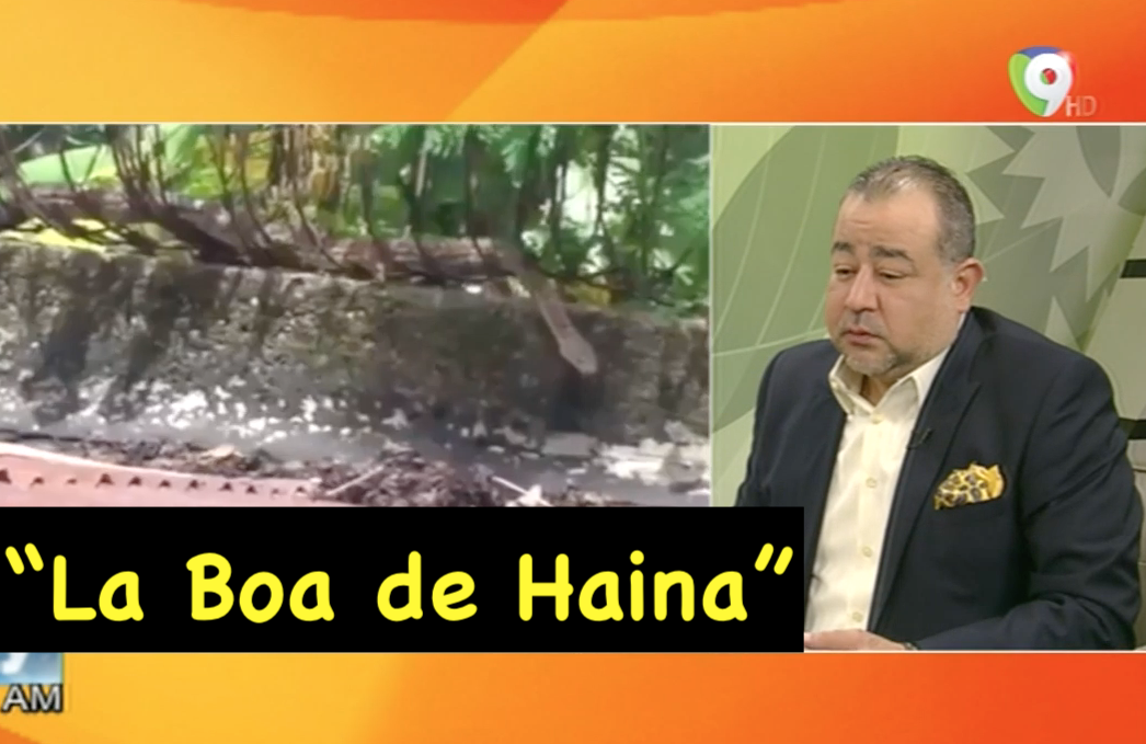 Todavía Hay Pánico Por La Boa De Haina La Cual Aún No Aparece ¿Dónde Estará La Boa? Comentan En Hoy Mismo