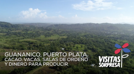 Presidente Danilo Medina Hace Visita Sorpresa A Productores De Cacao En Hoya Grande De Guananico