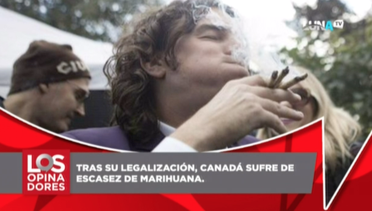 Tras Legalización De La Marihuana En Canadá Ya Existe Una Escasez De Dicha Hierba