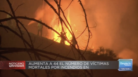 Aumenta A 44 El Número De Víctimas Mortales Por Incendios En California