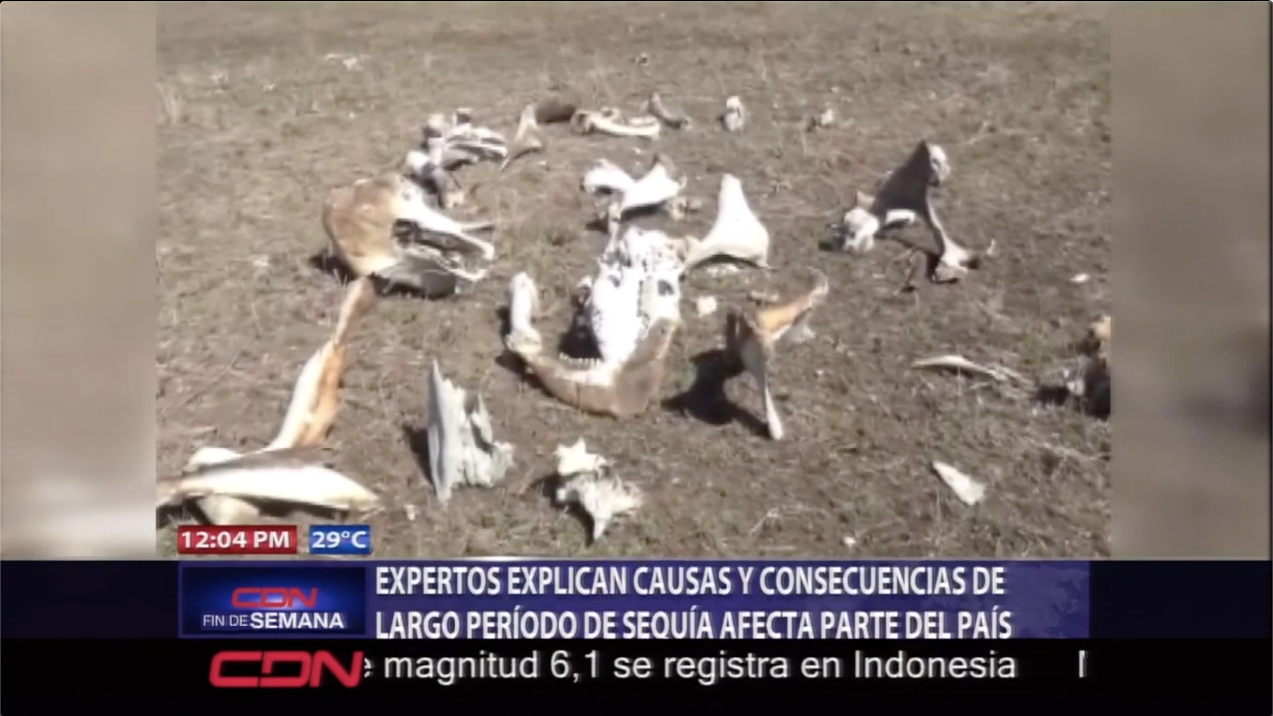 Expertos Explican Causas Y Consecuencias De Largo Período De Sequía Afecta Parte Del Pais