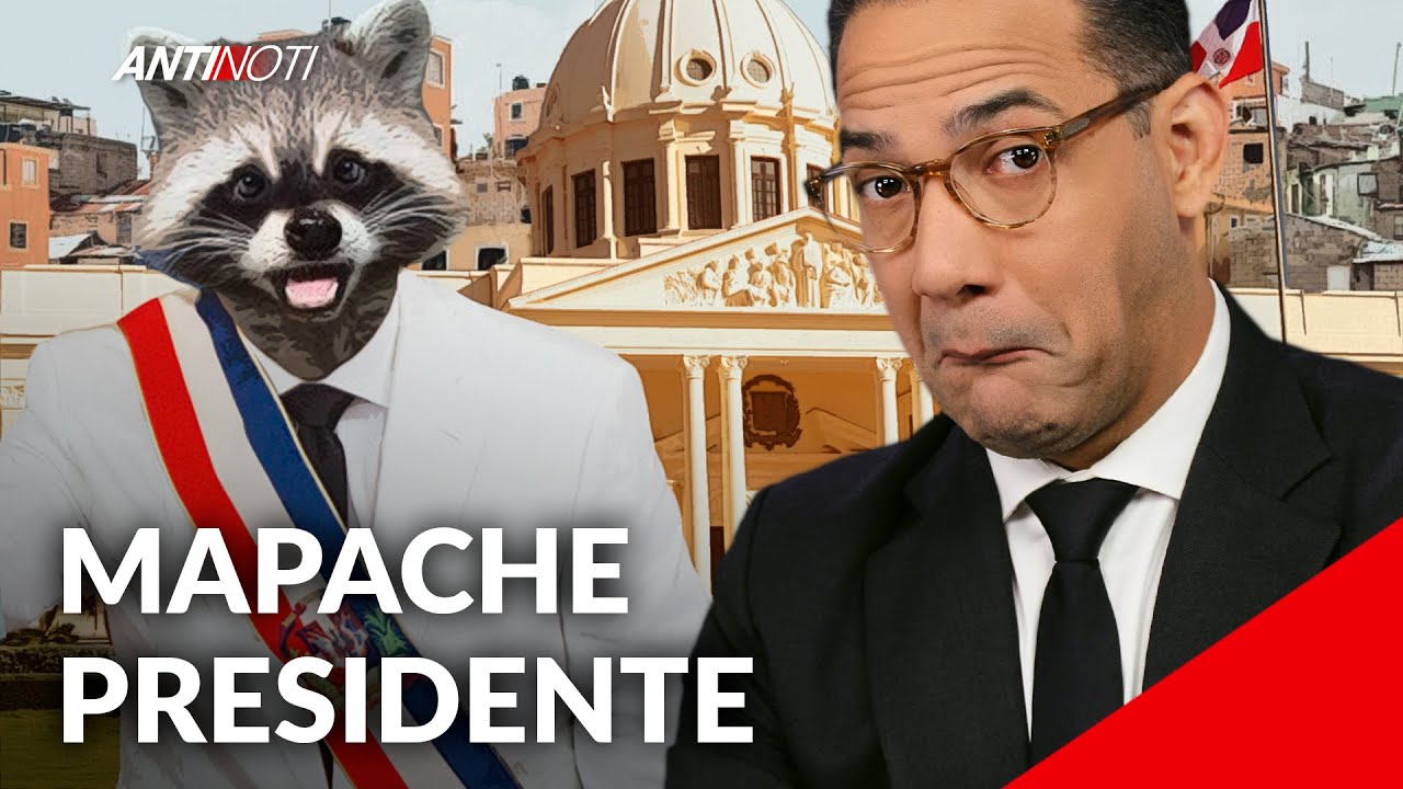 Capturan Al Mapache Y Lo Entregan Al Zoológico [De Gratis]