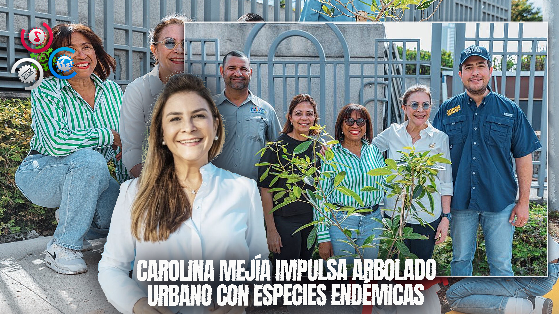 Carolina Mejía Impulsa Plan De Arbolado Urbano Con Especies Endémicas