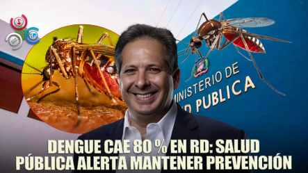 Casos De Dengue Se Redujeron Un 80 % Este Año, Según Reporte De Salud Pública