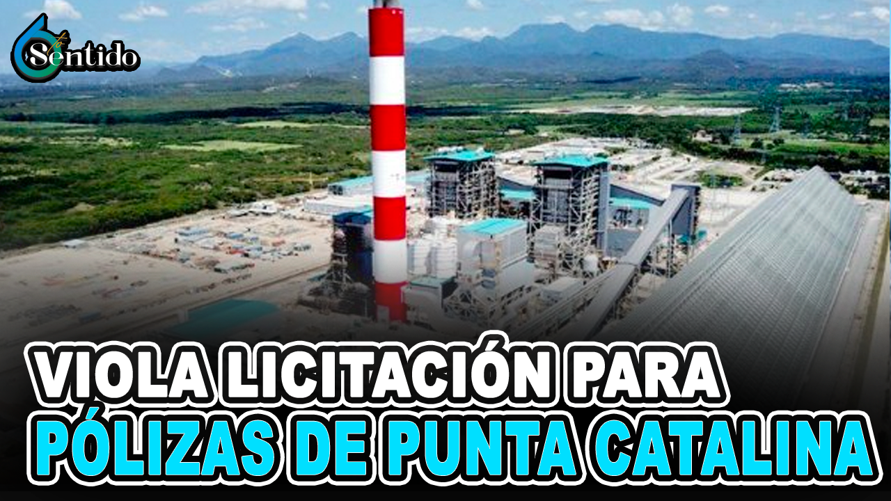 Cdeee Viola Licitación Para Pólizas De Punta Catalina | 6to Sentido