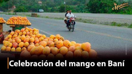 TuriFamilia Habla De La Celebración Del Día Mango En Baní
