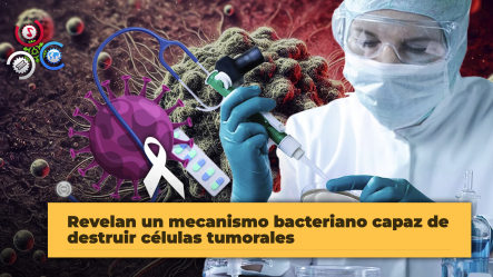 ¡La Bacteria Del Cólera Podría Convertirse En Aliada Contra El Cáncer!: Científicos Descubren Proteínas Maravilla