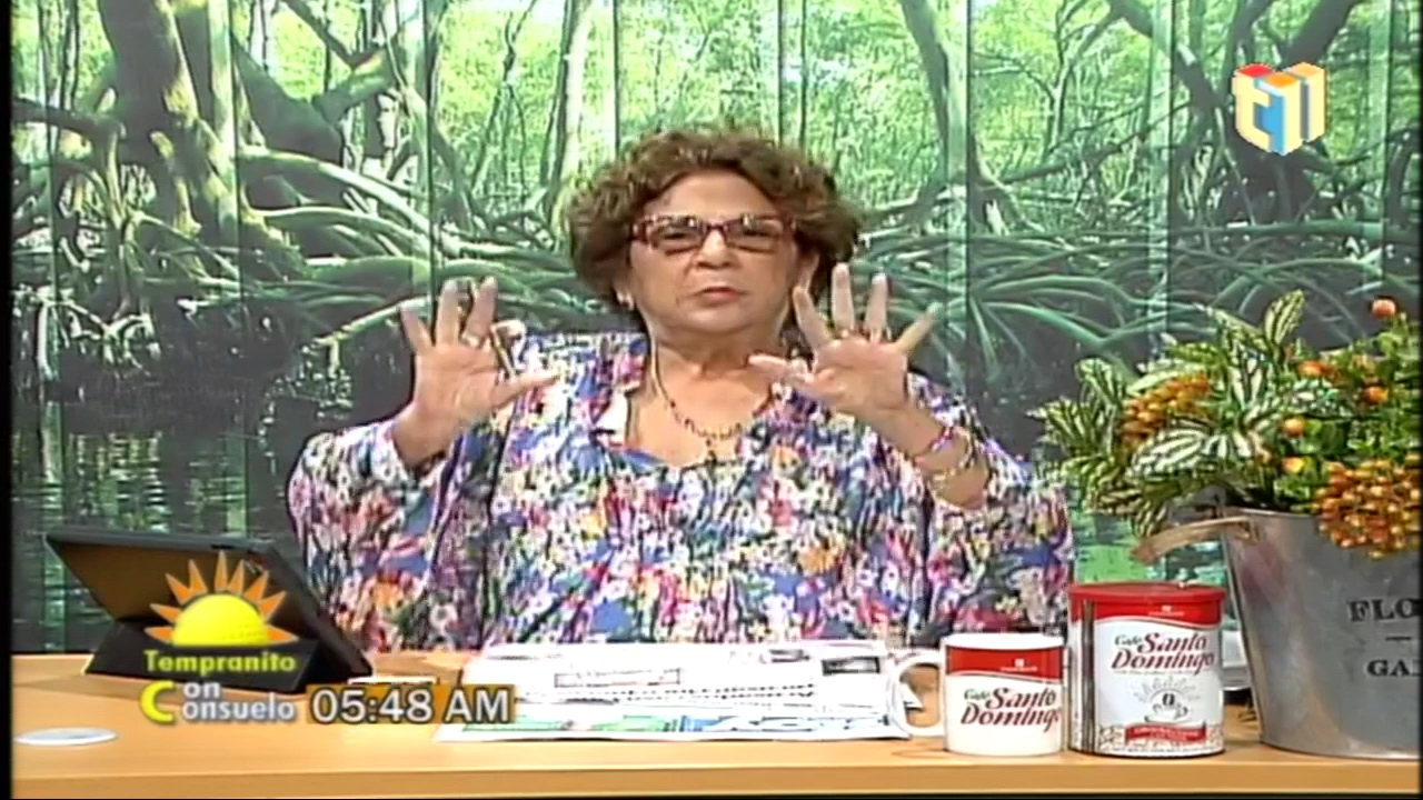 Consuelo Despradel Comenta Sobre La Recusación De Los Jueces En El Caso Odebrecht