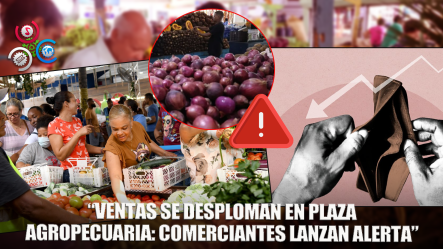 “Comerciantes De Plaza Agropecuaria Alertan Caída Drástica En Ventas”