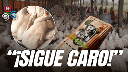 Comerciantes Y Carnicerías Aseguran Precio Del Pollo Oscila Entre 80 Y 100 Pesos La Libra