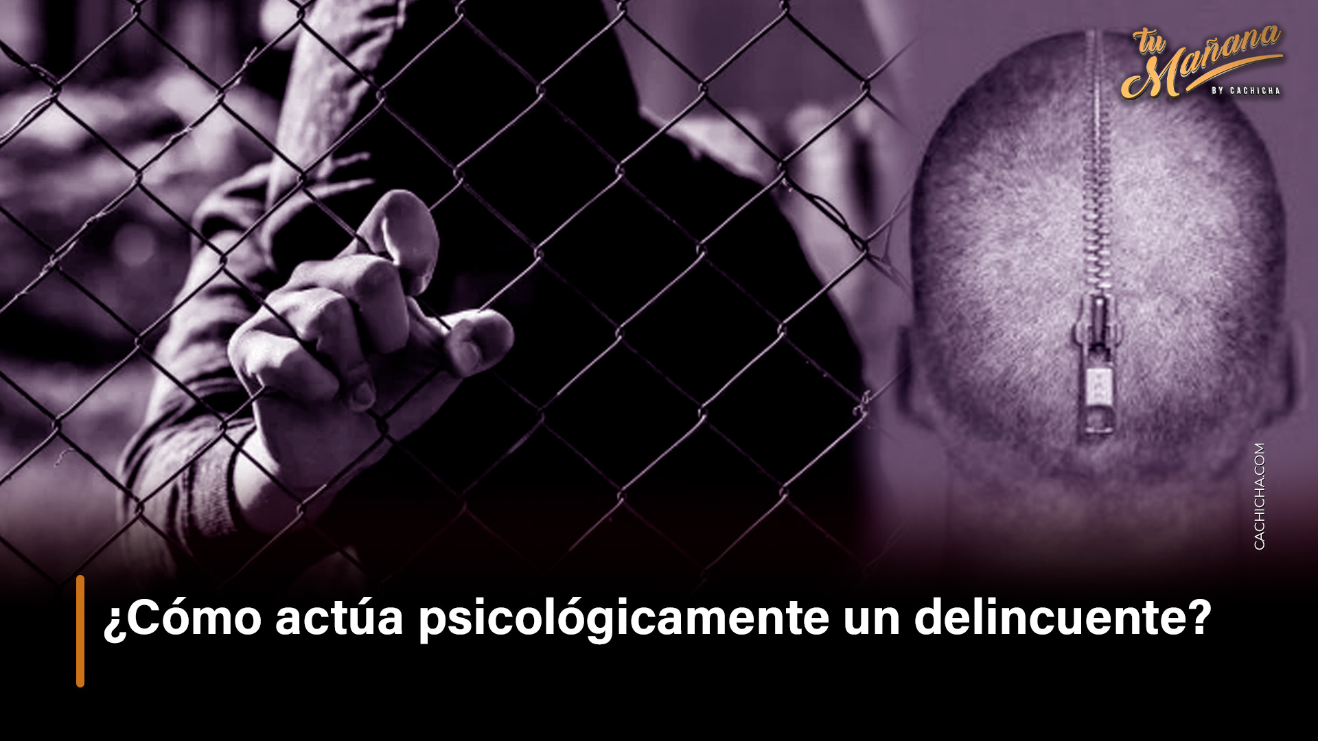 ¿Cómo Actúa Psicológicamente Un Delincuente?
