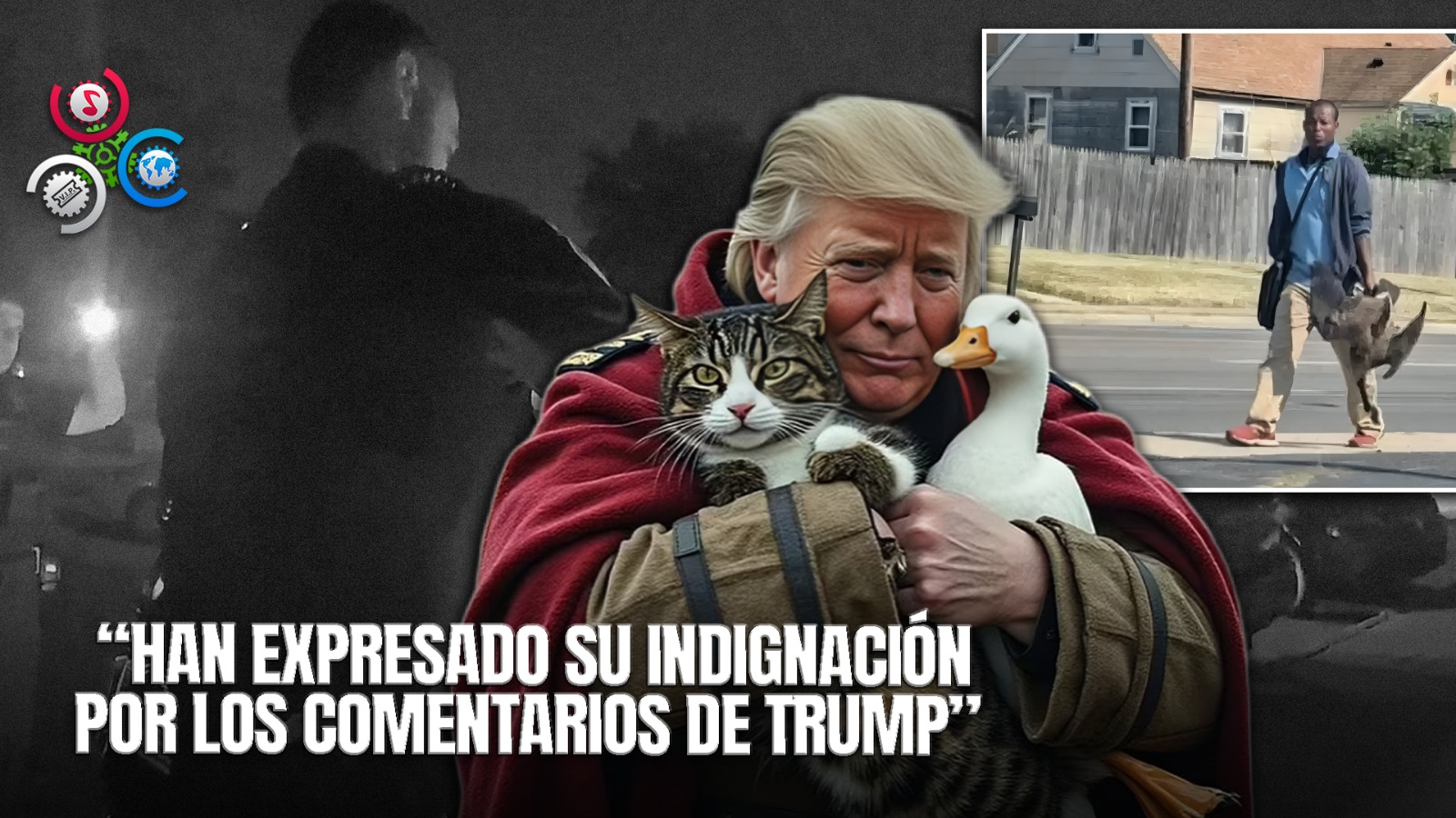 Comunidad Haitiana En Springfield Critica A Donald Trump Por Declaraciones Sobre Perros Y Gatos