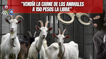 Comunitarios De Hato Del Medio Atrapan A Hombre Acusado De Robar Chivos