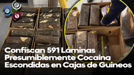 Confiscan Otras 591 Láminas De Cocaína Escondidas En Cajas De Guineos