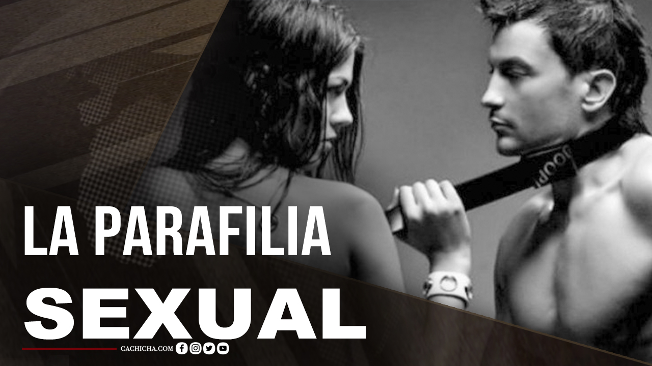 Conoce A Fondo Que Es La Parafilia Sexual