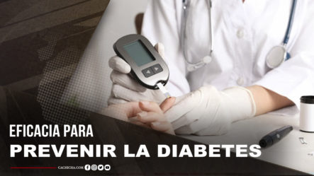 Conoce La Manera Más Eficaz Para Prevenir La Diabetes