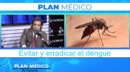 Conoce Los Métodos Más Efectivos Para Evitar El Dengue | Plan Médico De Cachicha TV