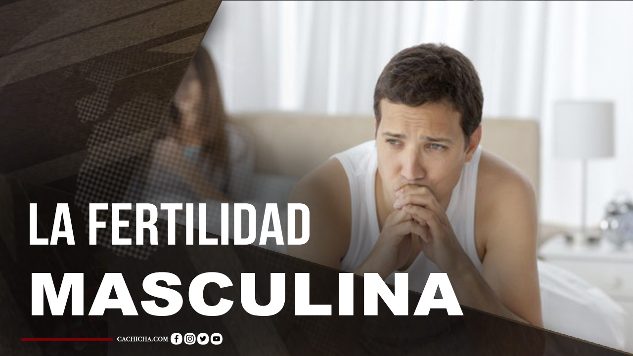 Conoce Todos Los Detalles De La Infertilidad Masculina