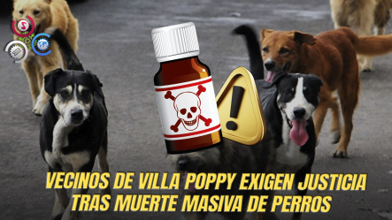 Consternación En Constanza Por Hallazgo De Animales Muertos En Villa Poppy