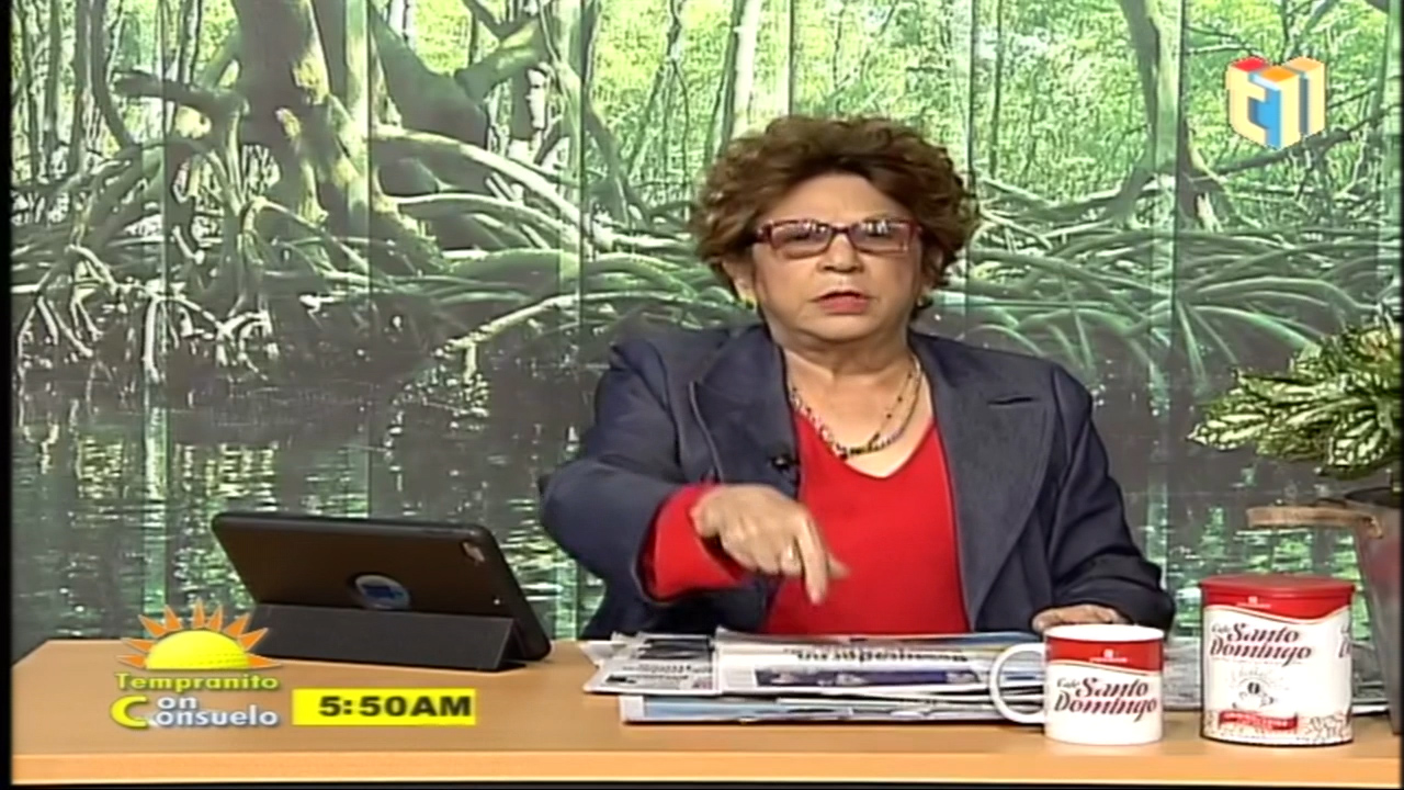 Consuelo Despradel: El Procurador Lo Hizo Bien