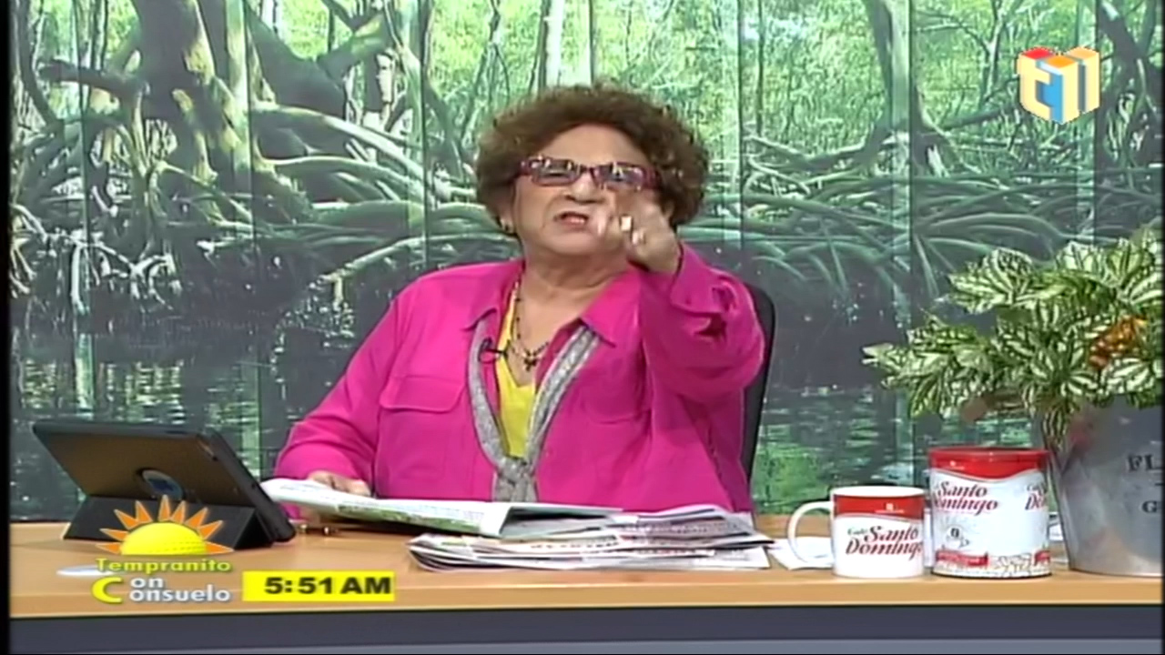 Consuelo Despradel: “Aumentan Cifras De Niños Haitianos Nacidos Con VIH… Nosotros Tenemos ‘to Lo Cuarto Del Mundo”