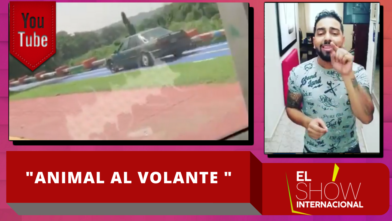 Wilson Sued Le Dice ¡ANIMAL! Al Conductor Que Se Subió Por La Ciclovía De La Circunvalación En Santiago