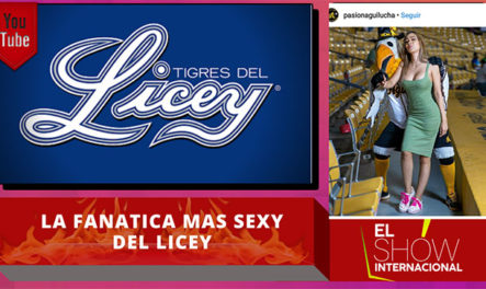 Conoce La Fanatica #1 Y Mas Sexy Del Licey