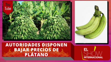 Autoridades Disponen Bajar Precios De Plátano Y Guineo En Ventas Populares