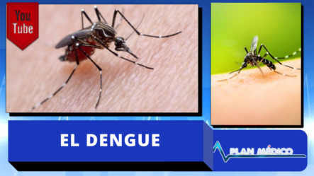 Las Enfermedades Están Acabando Con La Vida, 47 Muertos Por Causa Del Dengue