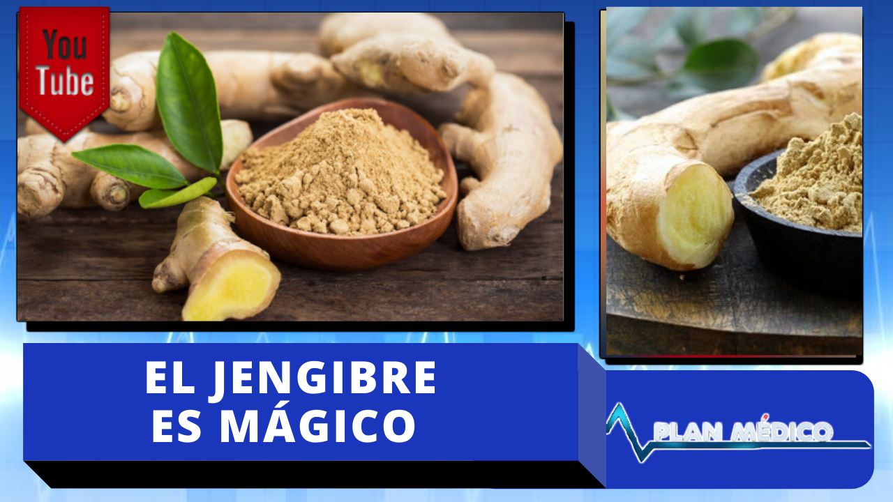 El Jengibre: El Tubérculo Milagroso Que Puede Salvarte La Vida