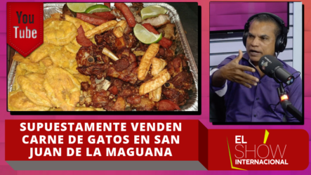¡Increíble! Supuestamente Venden Carne De Gatos En San Juan De La Maguana