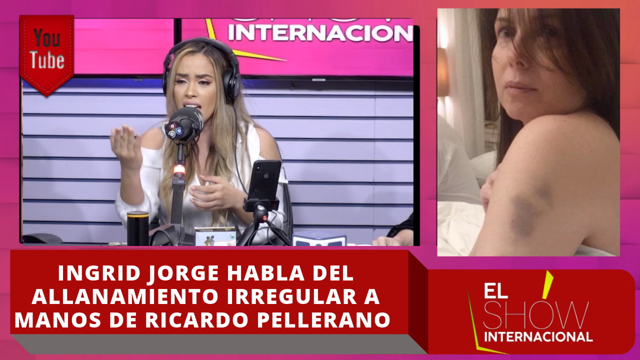 Ingrid Jorge Habla Del Allanamiento Irregular A Manos De Ricardo Pellerano
