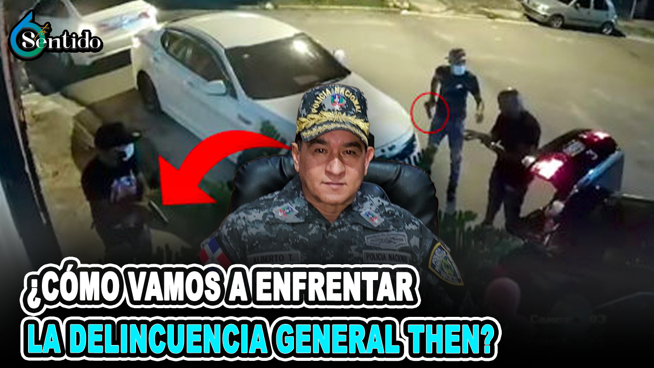 ¿Cómo Vamos A Enfrentar La Delincuencia General Then? | 6to Sentido